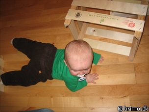 Miniature af billede nummer 341