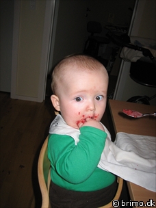 Miniature af billede nummer 342