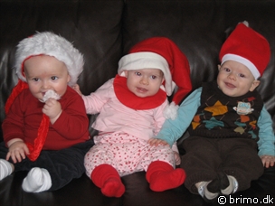 Miniature af billede nummer 343