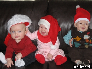 Miniature af billede nummer 344