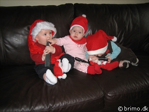 Miniature af billede nummer 346