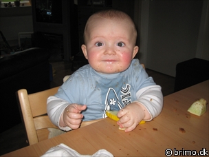 Miniature af billede nummer 350