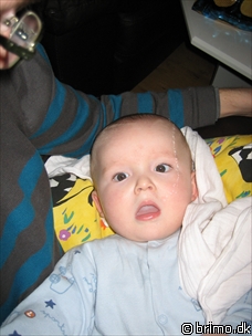 Miniature af billede nummer 351