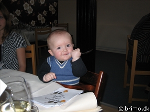 Miniature af billede nummer 352