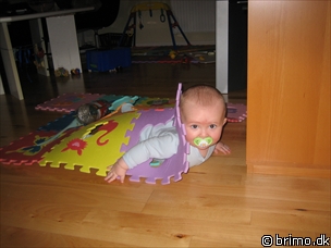 Miniature af billede nummer 353