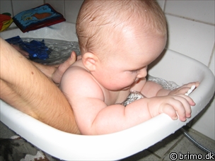 Miniature af billede nummer 356