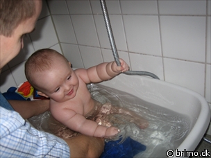 Miniature af billede nummer 357