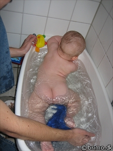 Miniature af billede nummer 361