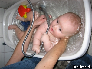 Miniature af billede nummer 362