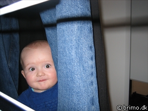 Miniature af billede nummer 364