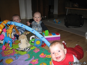 Miniature af billede nummer 365