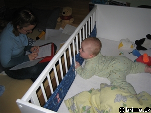 Miniature af billede nummer 366