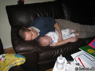 Miniature af billede nummer 368