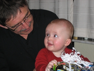 Miniature af billede nummer 376