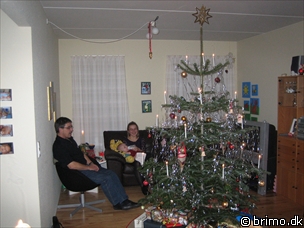 Miniature af billede nummer 378