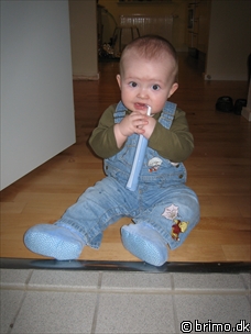 Miniature af billede nummer 385