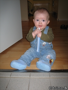 Miniature af billede nummer 386