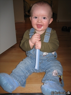 Miniature af billede nummer 387