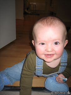 Miniature af billede nummer 388