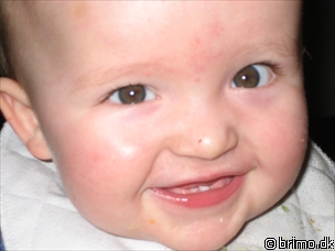 Miniature af billede nummer 389