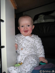 Miniature af billede nummer 391