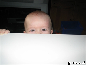 Miniature af billede nummer 392