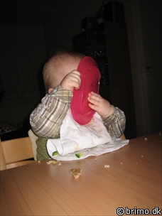 Miniature af billede nummer 398