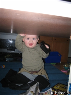 Miniature af billede nummer 399