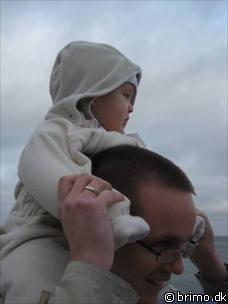 Miniature af billede nummer 401