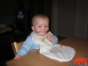 Miniature af billede nummer 405