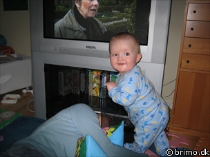 Miniature af billede nummer 407