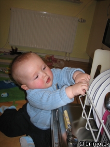 Miniature af billede nummer 412