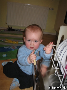 Miniature af billede nummer 413