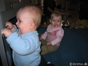 Miniature af billede nummer 420