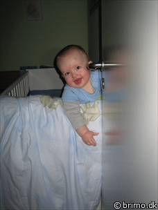 Miniature af billede nummer 423