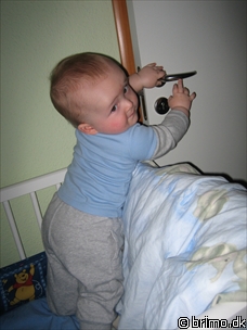 Miniature af billede nummer 424