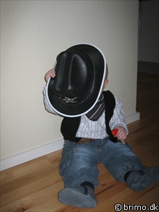 Miniature af billede nummer 425