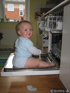 Miniature af billede nummer 427