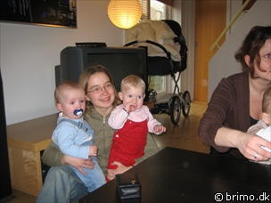 Miniature af billede nummer 433