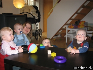 Miniature af billede nummer 435