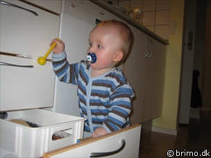 Miniature af billede nummer 437