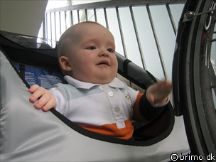 Miniature af billede nummer 442