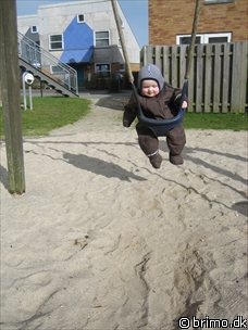 Miniature af billede nummer 443