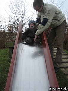 Miniature af billede nummer 445