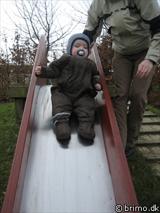 Miniature af billede nummer 446