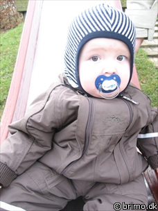 Miniature af billede nummer 447