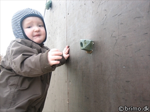 Miniature af billede nummer 449