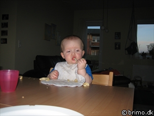 Miniature af billede nummer 451