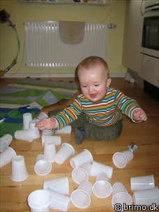 Miniature af billede nummer 455