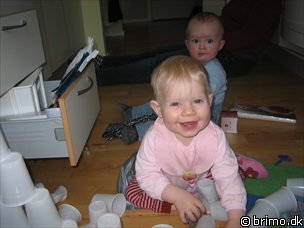 Miniature af billede nummer 458